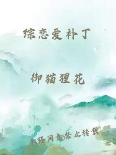 綜戀愛補(bǔ)丁