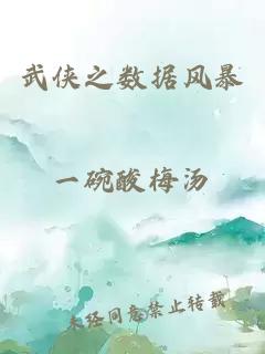 武俠之數(shù)據(jù)風(fēng)暴