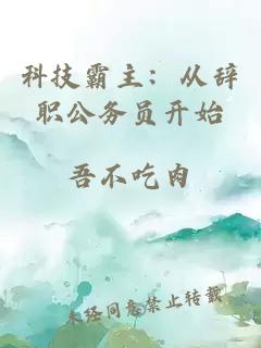 科技霸主：從辭職公務(wù)員開始