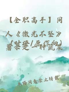 【全職高手】同人《微光不墜》 (葉橙/原作向)