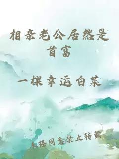 相親老公居然是首富