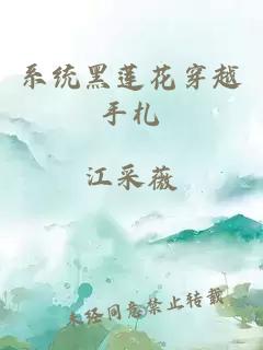 系統(tǒng)黑蓮花穿越手札