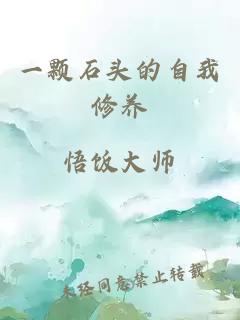 一顆石頭的自我修養(yǎng)