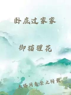 臥底過家家