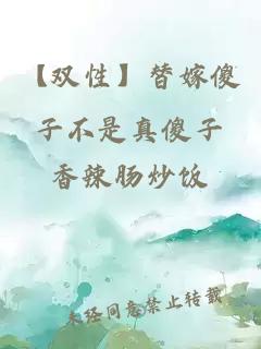 【雙性】替嫁傻子不是真傻子