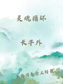 靈魂循環(huán)