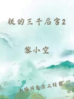 朕的三千后宮2