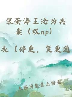 笨蛋海王淪為共妻（雙np）
