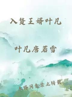 入贅王婿葉凡